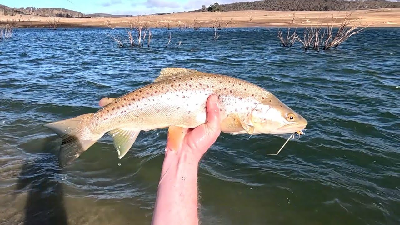 Fishing Lake Eucumbene - Unique Opportunities