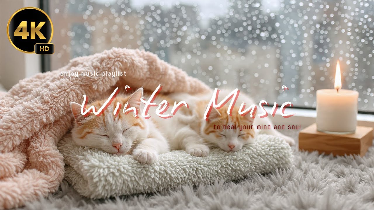 Enjoy Music for Deep Sleep 🥹 Sleep Music No Ads 🎵 Deep Sleep With Healing Music ❤️‍🔥 