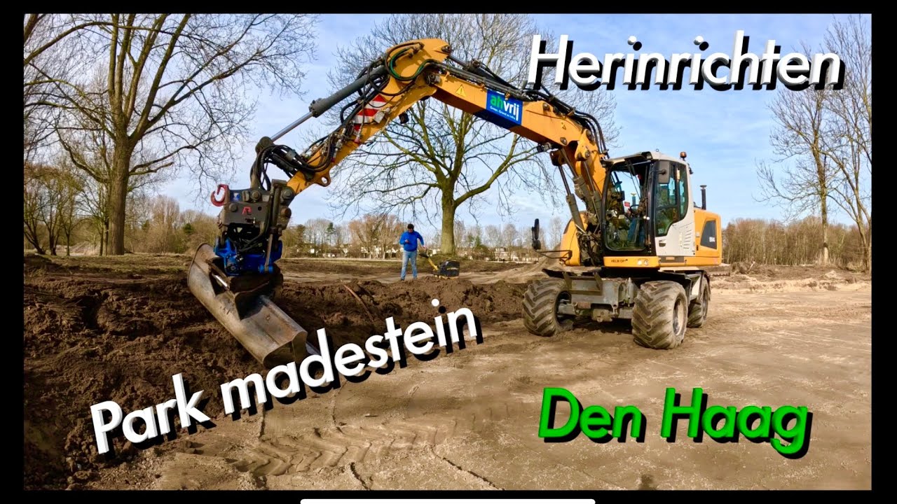 Реконструкция парка Гаага № 81