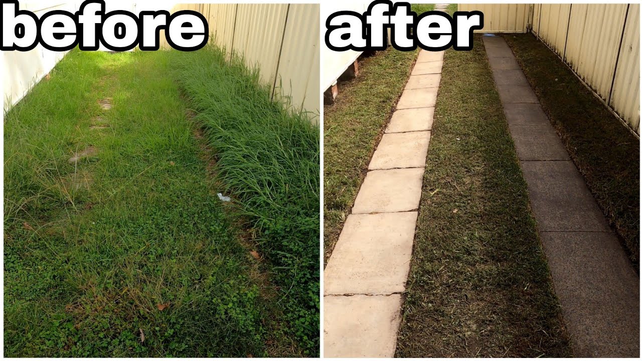 Years of growth- Hidden concrete EXPOSED! Mowing, edging, pressure washing