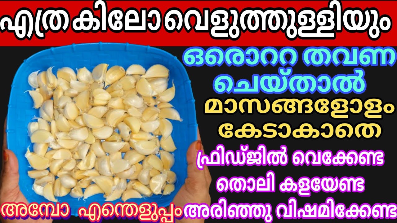 കിലോ കണക്കിന് വെളുത്തുള്ളിയും ഇനി തൊലി കളയേണ്ട മാസങ്ങളോളം ഉപയോഗിക്കാൻ No Peeling Garlic Powder Tips