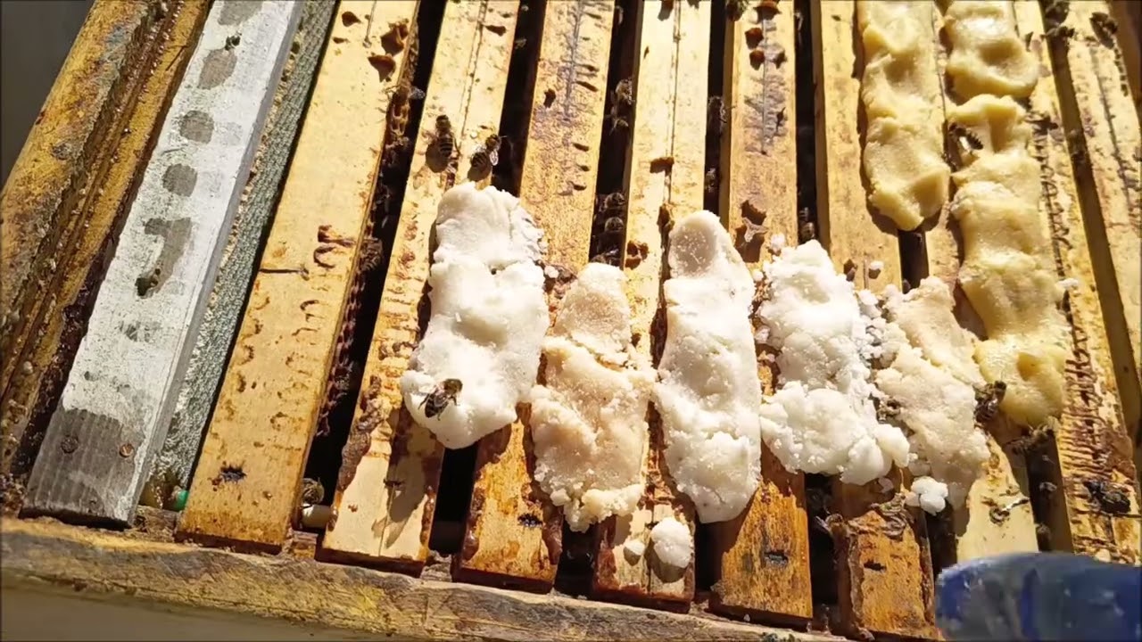 A příkrmy a podněcování včel i pomocí Ultra Bee v medocukrovém těstě.