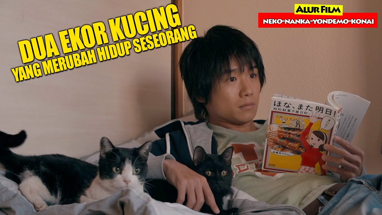 This Man's Life Changed After Adopting These Two Cats | YONDEMO KONAI Movie Storyline