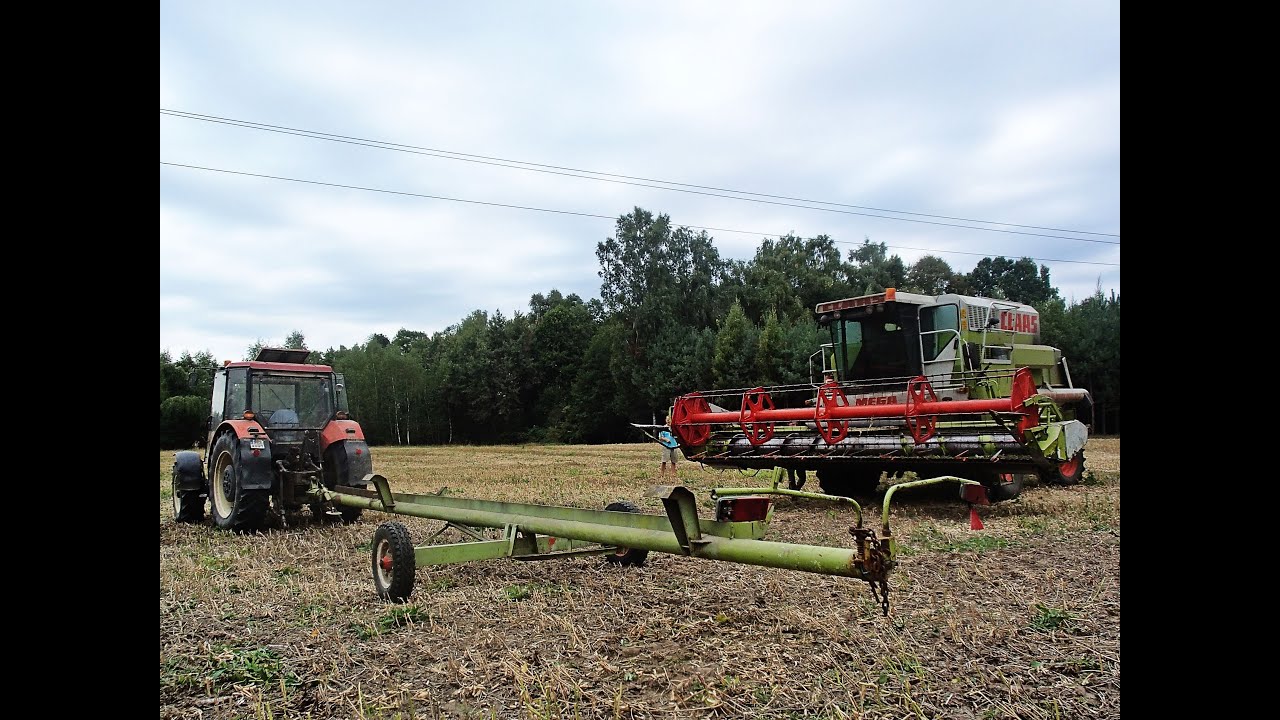 Koszenie soi 2015 - Claas Mega 208 // Zetor 9540