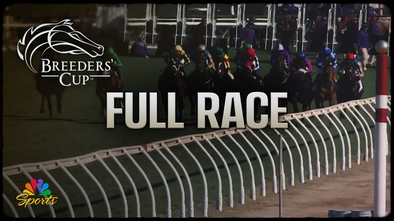 Breeders' Cup 2024: Juvenile Turf Sprint (Full Race) | NBC Sports