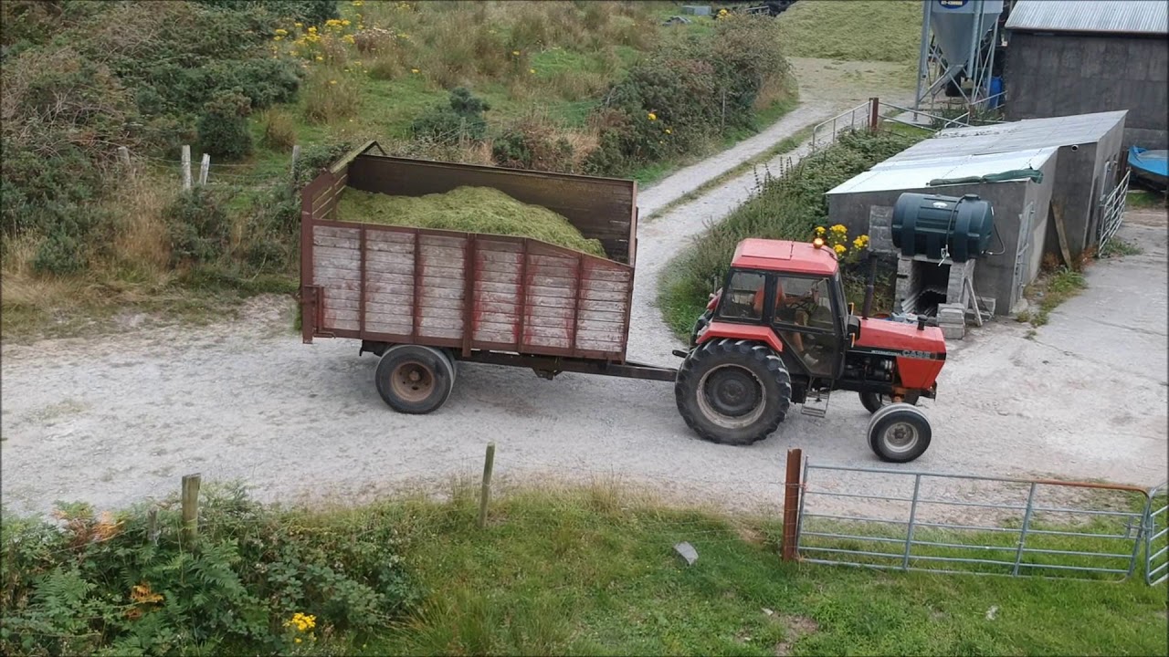 Newman's Silage
