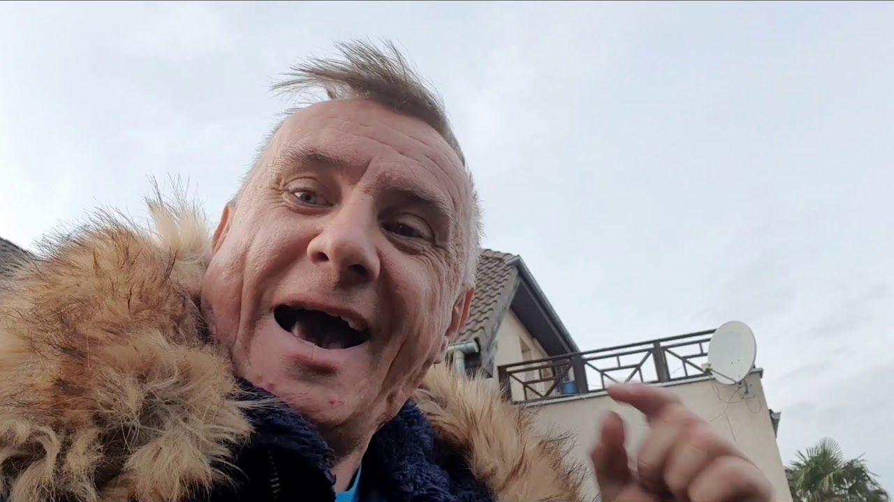 BestpalmTV. Zabezpieczenia zimowe palm. Termostat, po co jest i jak ustawić.