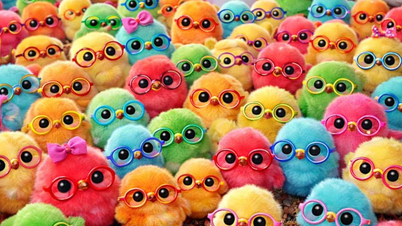 Catch Color Chicken, Cute Chicken, Duck, Rainbow Chicken, Rabbit, Cute Animals