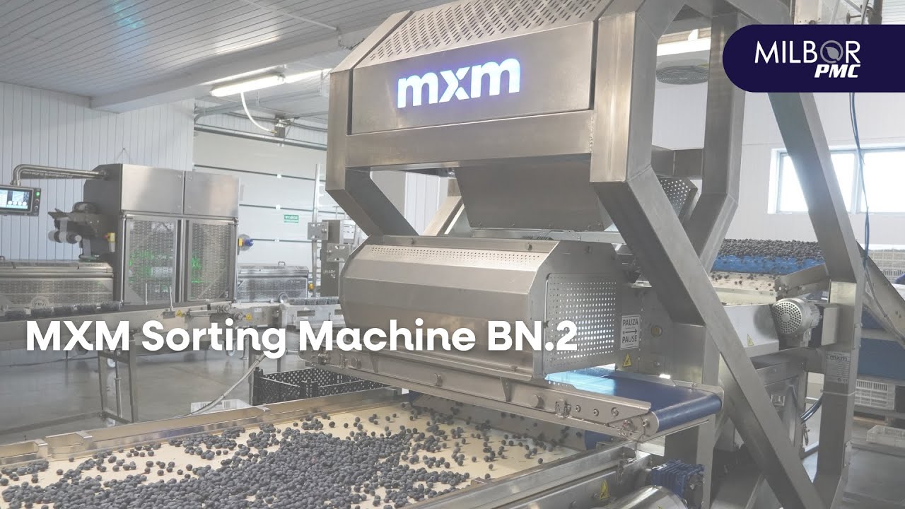 MXM Sorting Machine BN.2 | Milbor PMC