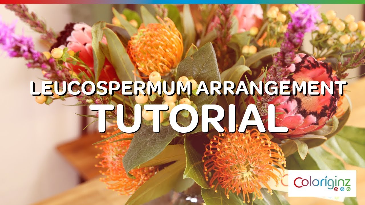 Coloríginz | Leucospermum arrangement | Tutorial