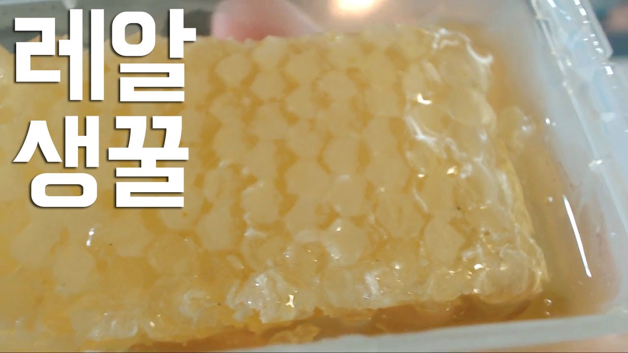 진짜 생! 꿀먹방~ [Real honey] 소프 SOF