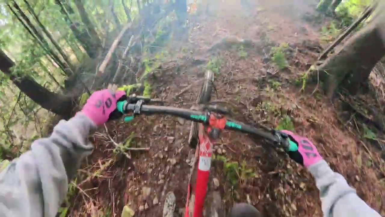 Brown Pow - Full Pull 1/14/26