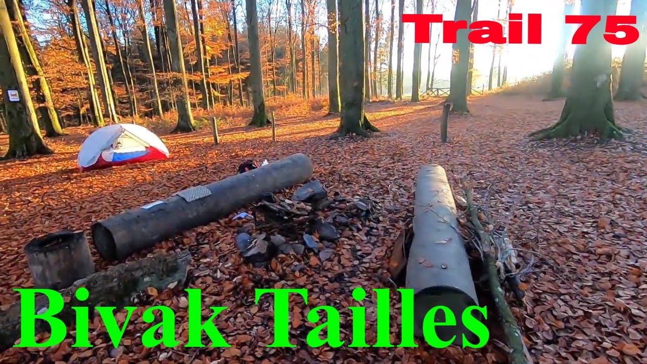 Bivakzone Tailles