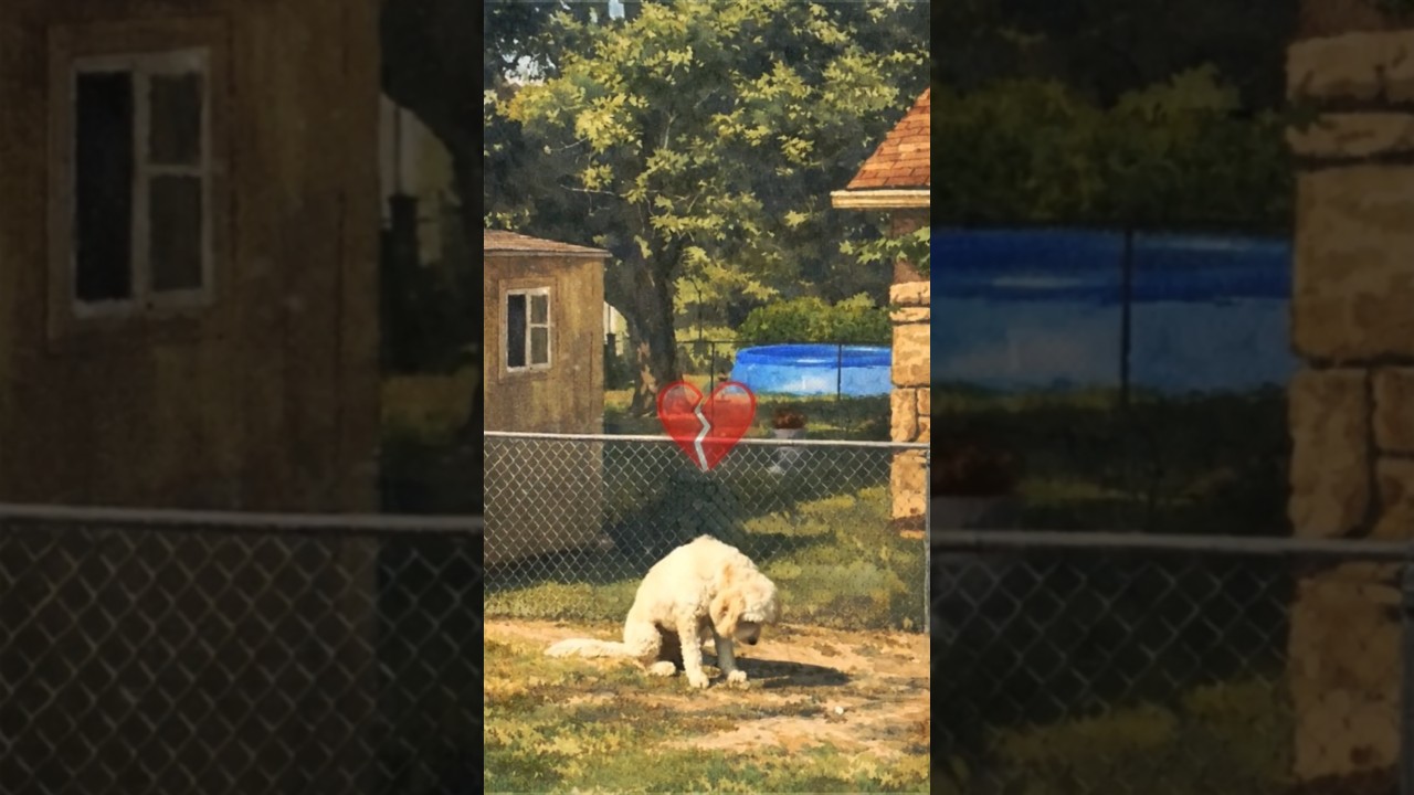 Heartbreaking story of this dog and this loving grandma 🥲💔