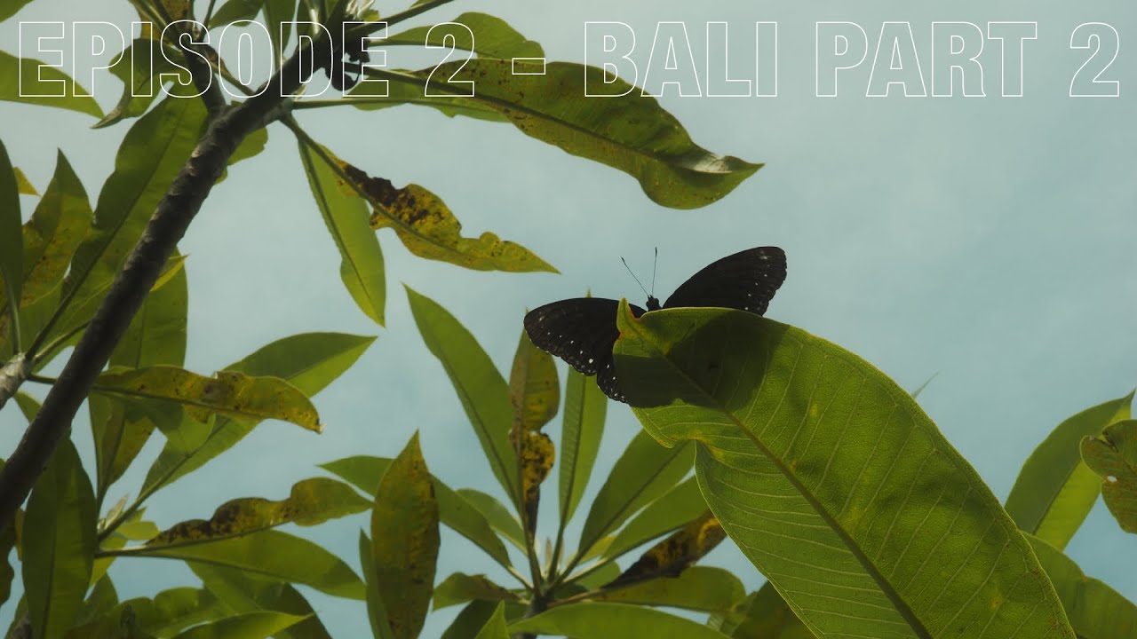 Cutting about in Kuta, Changing it up in Canggu - Bali is immense - LFG Ep 3