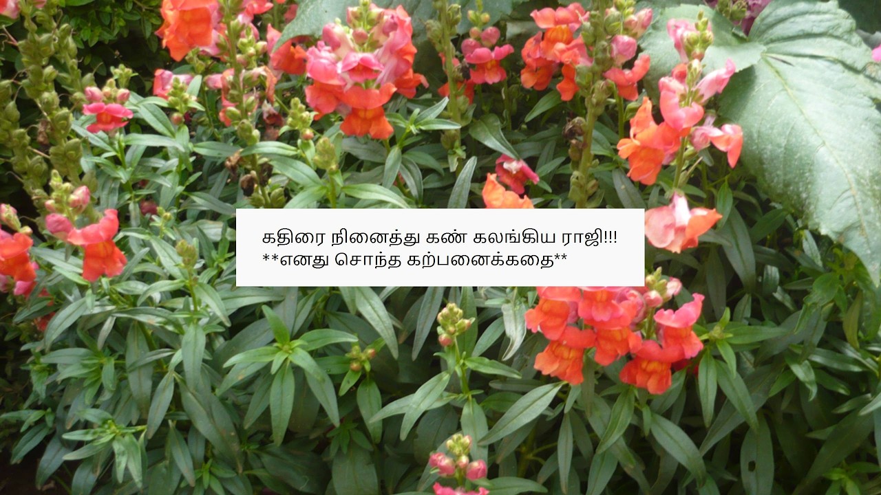 Pandian Stores - Promo 16th May2026 - Shocking Twist! Promo Review 2 Tamil Vijay TV
