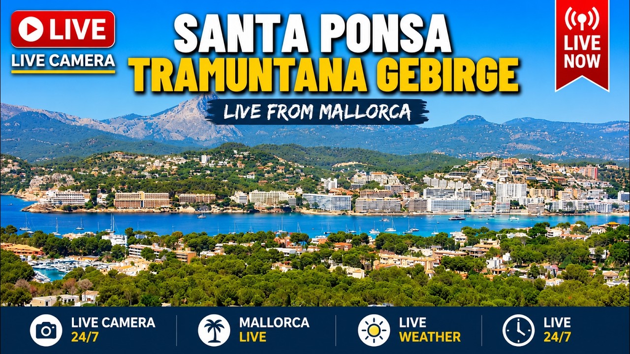 🌞 Mallorca Webcam Camp de Mar Beach Live 24/7 4K UHD #balearicislands #Sunset #Travel #beachvibes