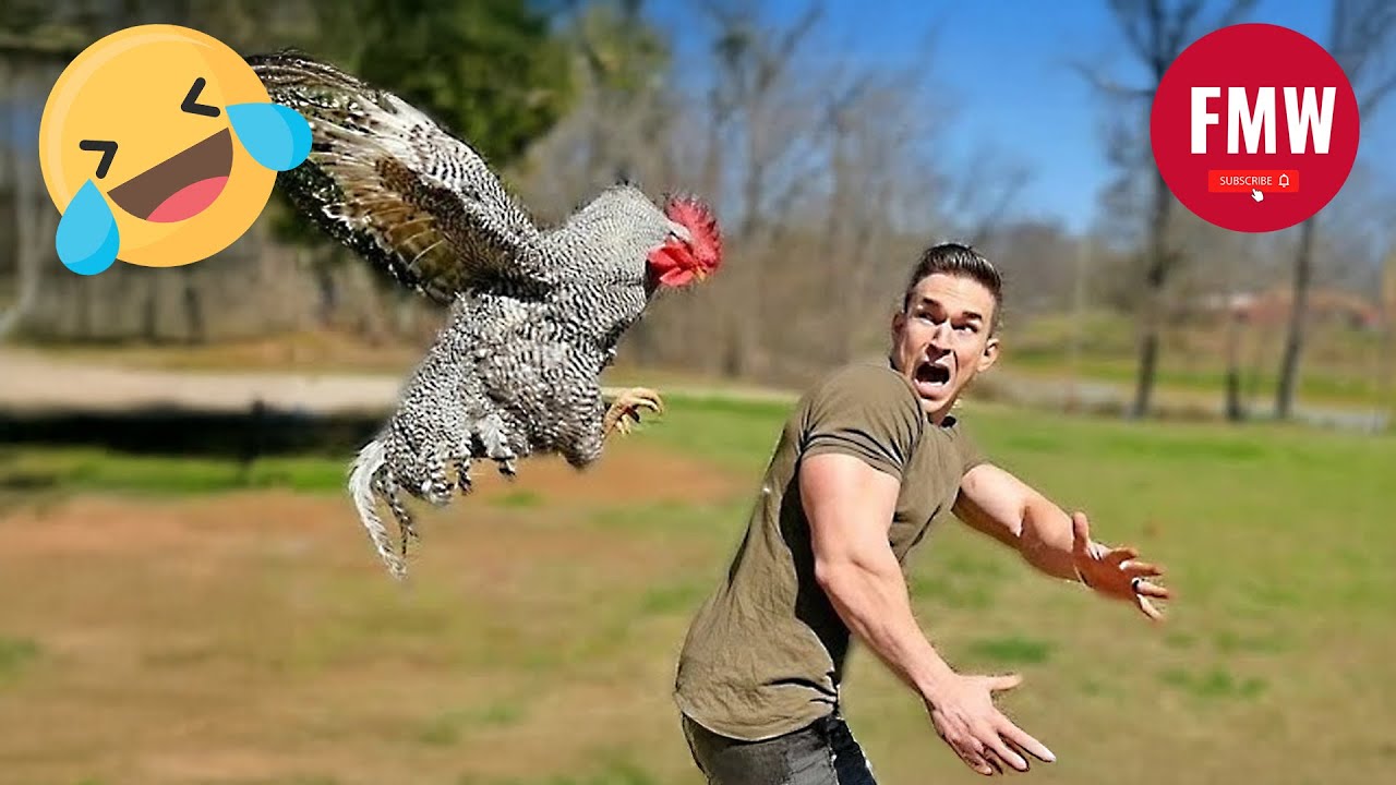 Funny & Hilarious People Life 😆 #323 | TRY NOT TO LAUGH 😂 | Instant Regret Fails Compilation 2025