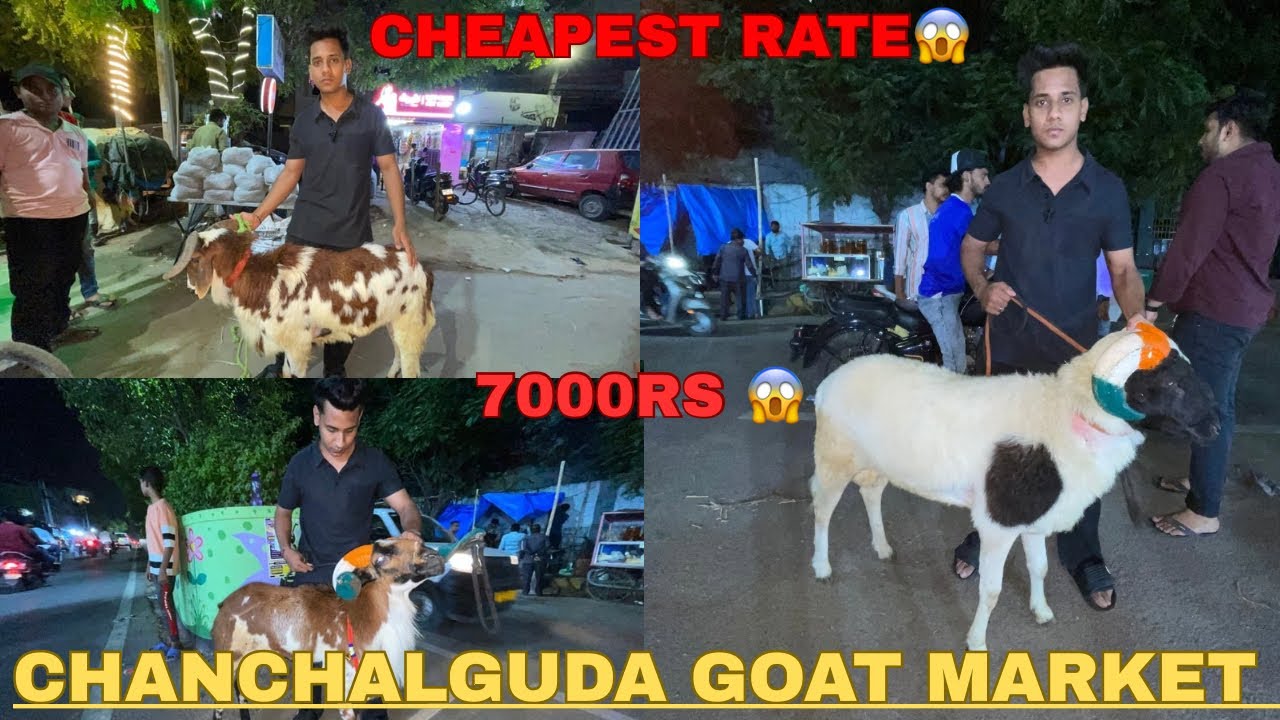 CHANCHALGUDA GOAT MARKET | BAKRA MANDI |HYDERABAD CHEAPEST BAKRA CHANCHALGUDA JAIL ROAD |vlogsbyfahd