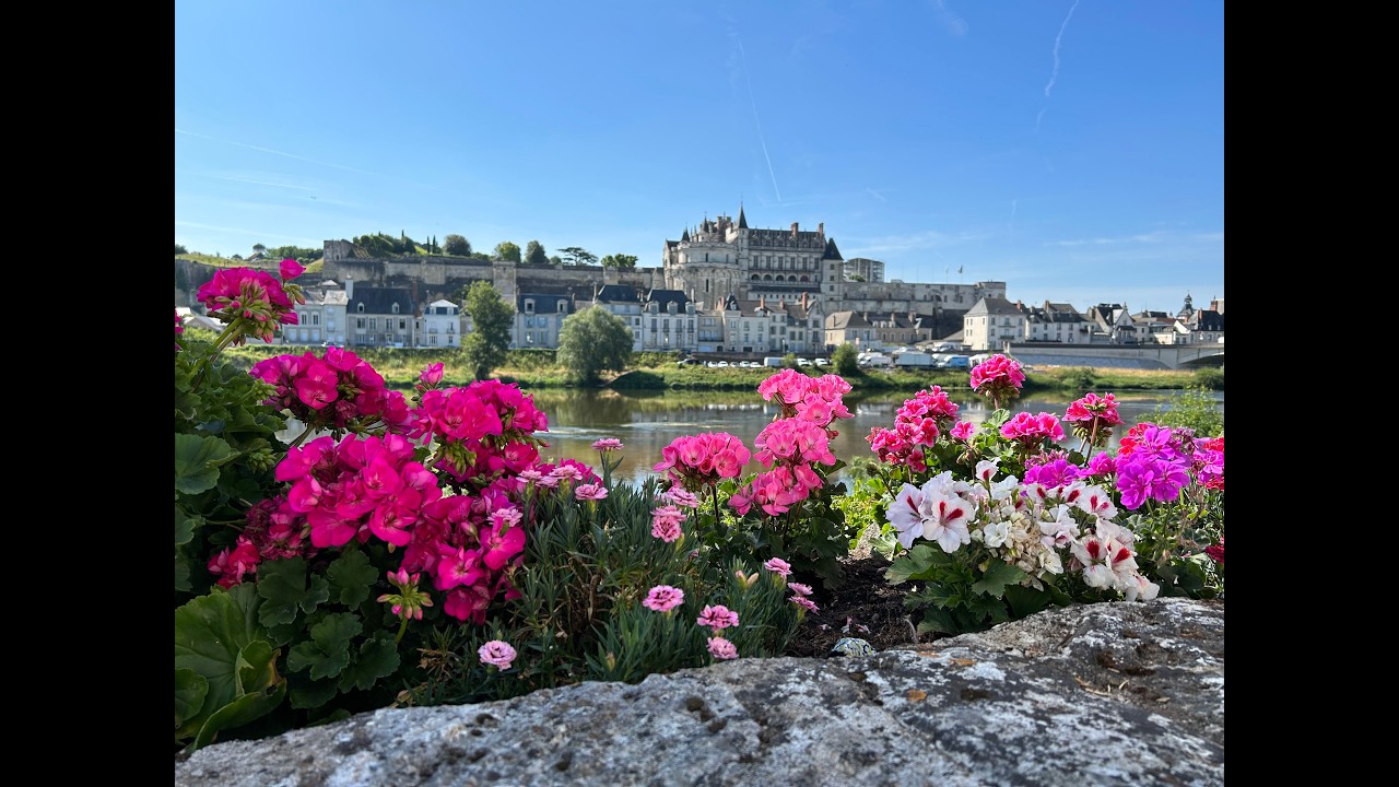 Castelli della Loira: Blois e Amboise