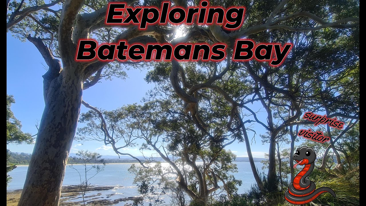 Exploring Batemans Bay with a surprise visitor!!