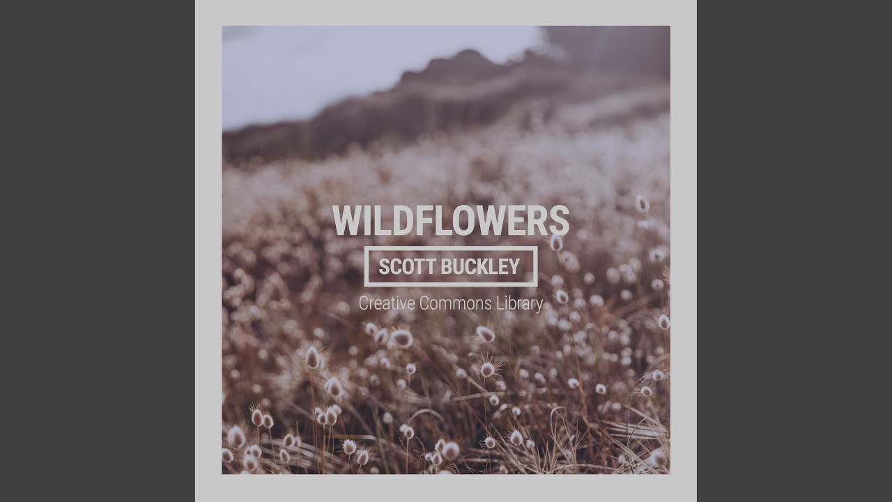 Wildflowers