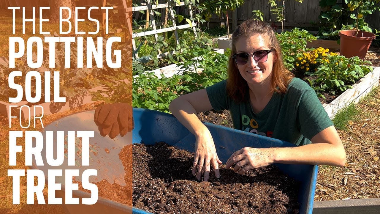 Make Your Own Amazing Fruit Tree Potting Mix