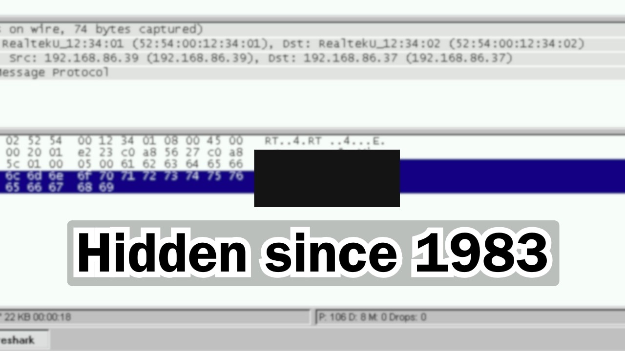 The Hidden Payload of Ping