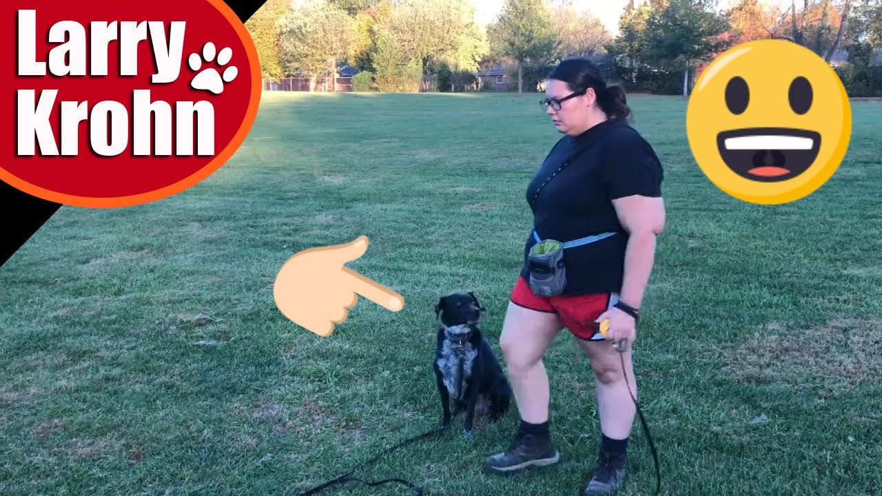 Private dog training session outside dog park