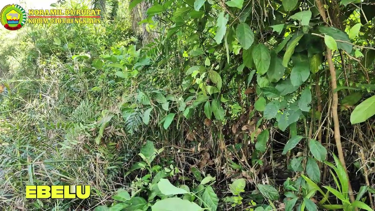 Jum'at Bersih Koramil 04/Rupat, Pembersihan Saluran Air di Kelurahan Tanjung Kapal, Kecamatan Rupat.
