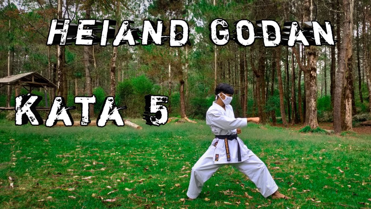 Heian Godan Kata 5 - Karate Technique