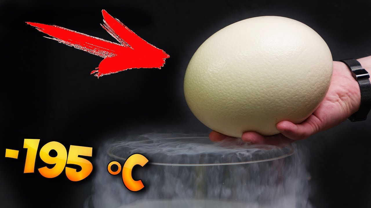 WHAT IF TO PUT AN OSTRICH EGG IN LIQUID NITROGEN?! &minus;320 &deg;F