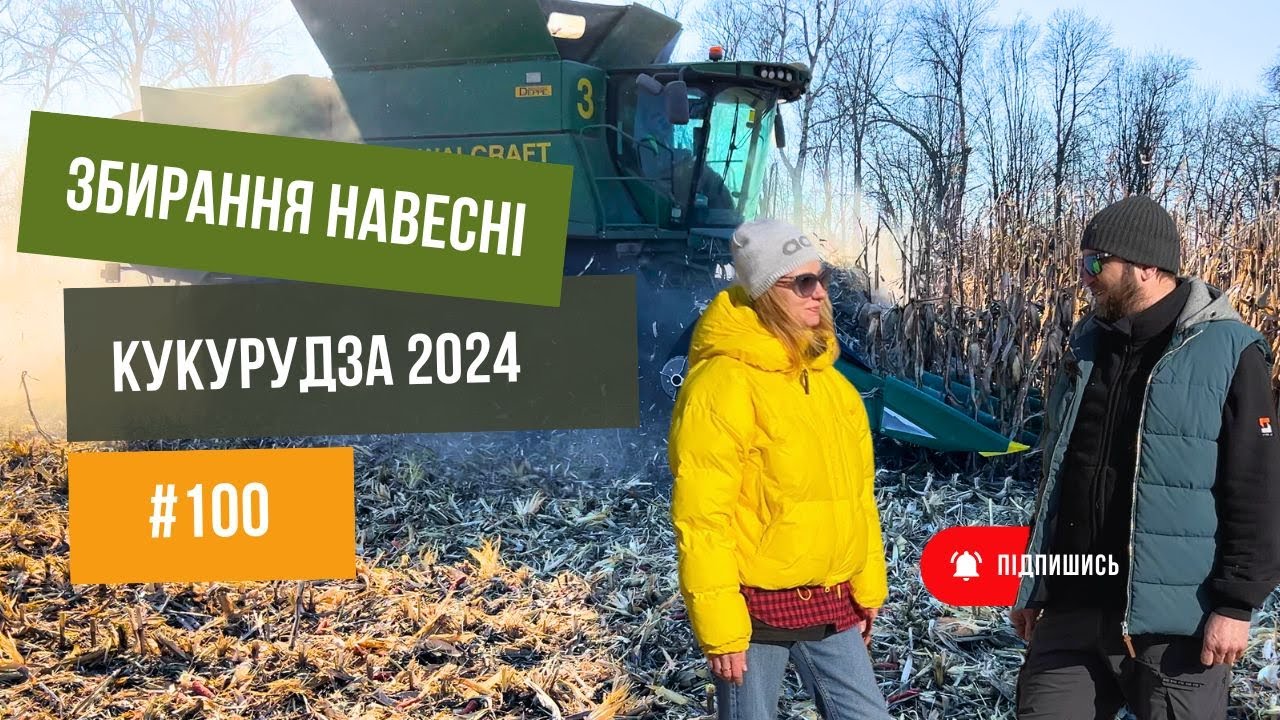 #100 Збираємо кукурудзу в березні.  Маємо 🔥 результат. Що потрібно було робити, а що ні   ❌.
