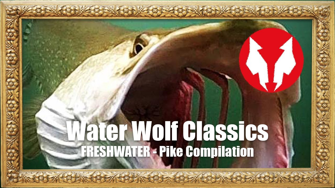 Water Wolf Classics - Freshwater - Pike Compilation