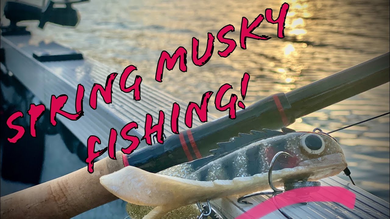 IOWA SPRING MUSKY FISHING! -Mini Medusa Gets Crushed by post spawn Muskie!