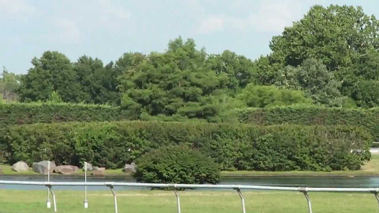 Blind Luck Winning The 2011 $750,000 Delaware Handicap (Gr.II).
