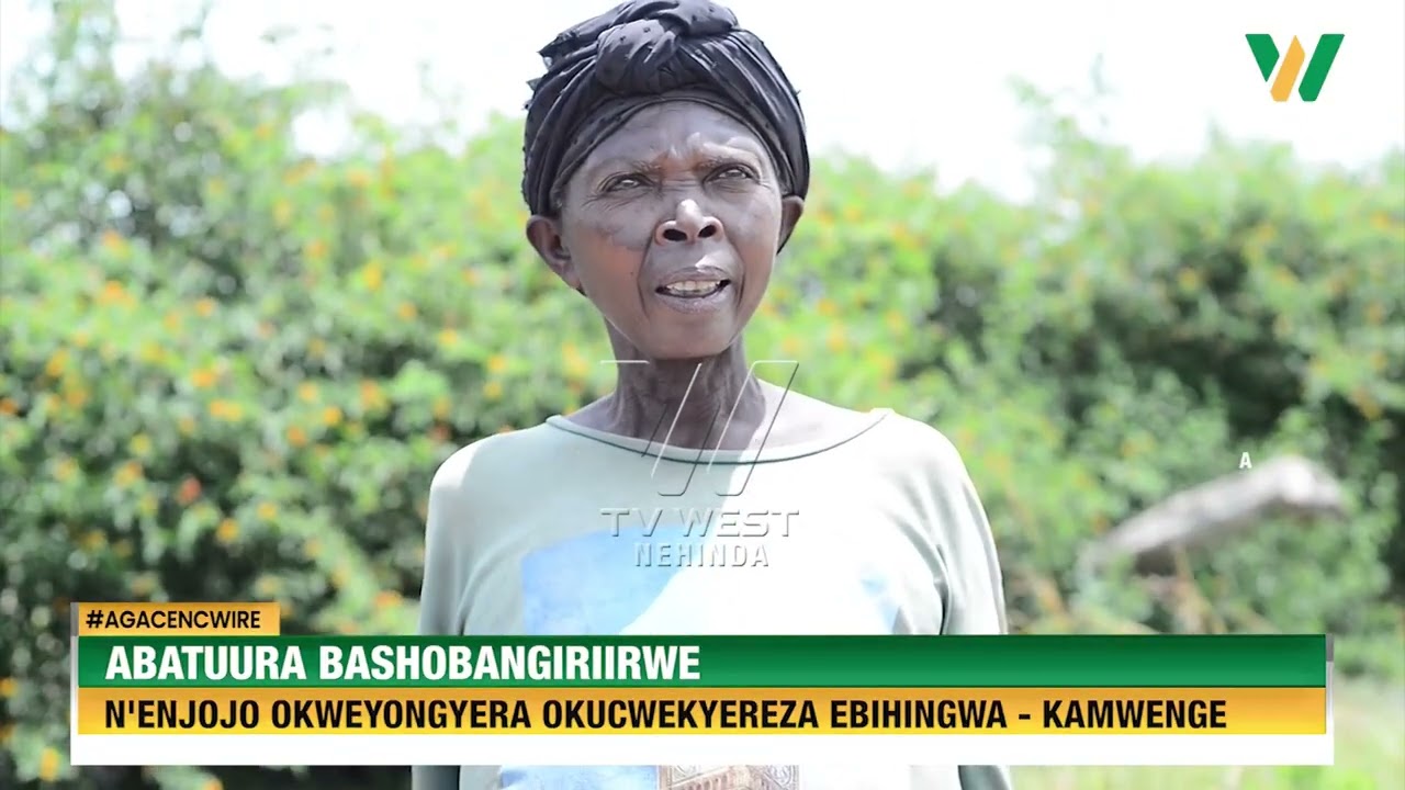 Agacencwire: Abatuura bashobangiriirwe n'enjojo kucwekyereza ebihingwa - Kamwenge