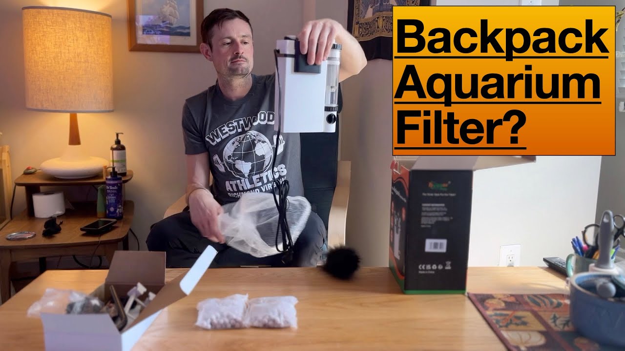 Hygger Backpack Filter: Initial Thoughts