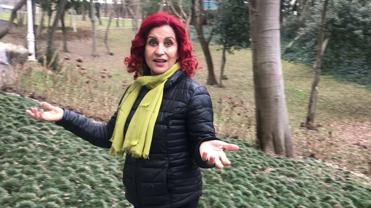 Çöp Kamyonu Kanunu