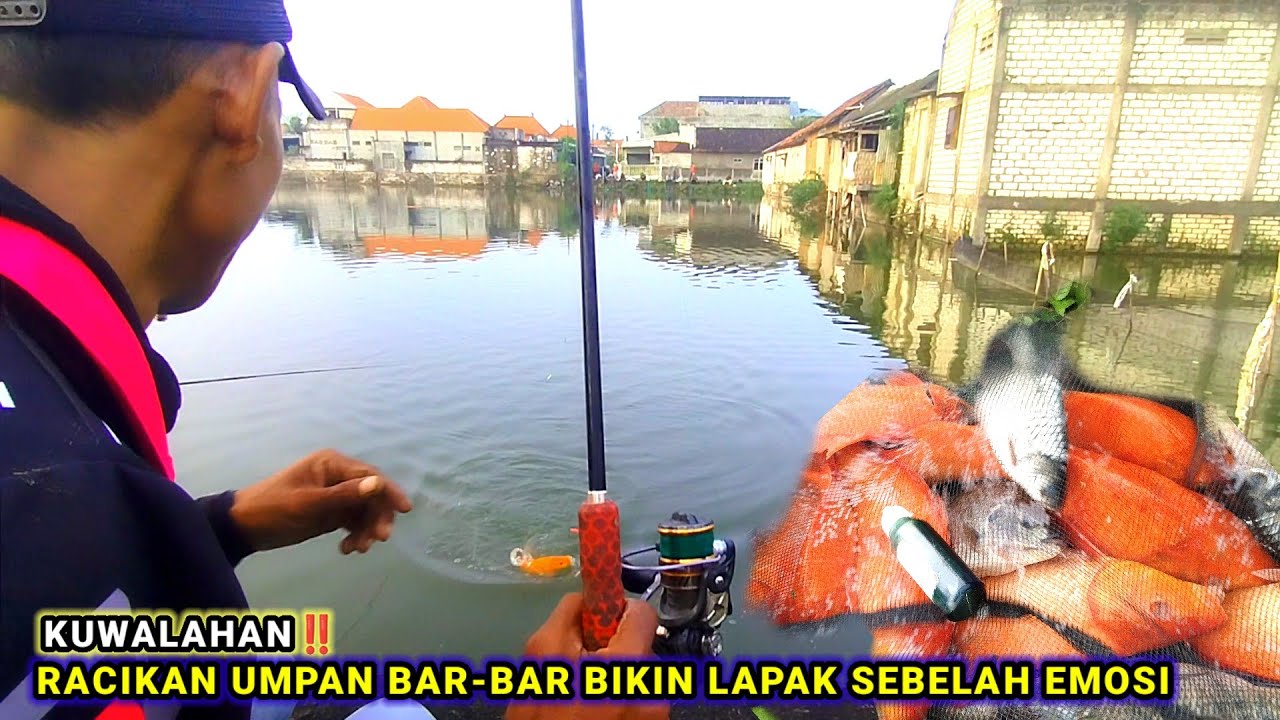 MODE BAR-BAR‼️RACIKAN UMPANKU JADI REBUTAN IKAN MAS #fishing  #mancing