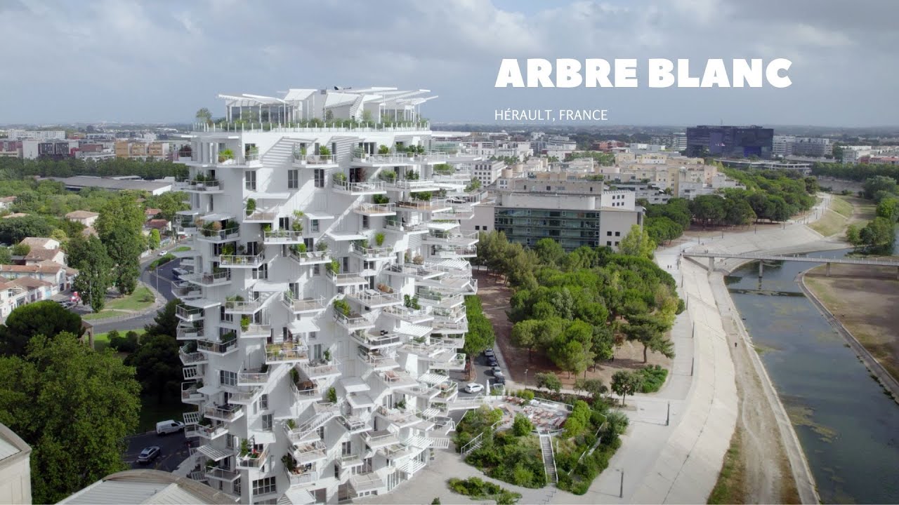 Appartement à l'Arbre blanc, Montpellier