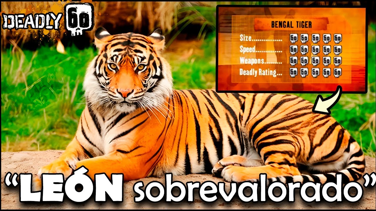 El Programa de NIVELES de PODER de ANIMALES | Fauna Letal