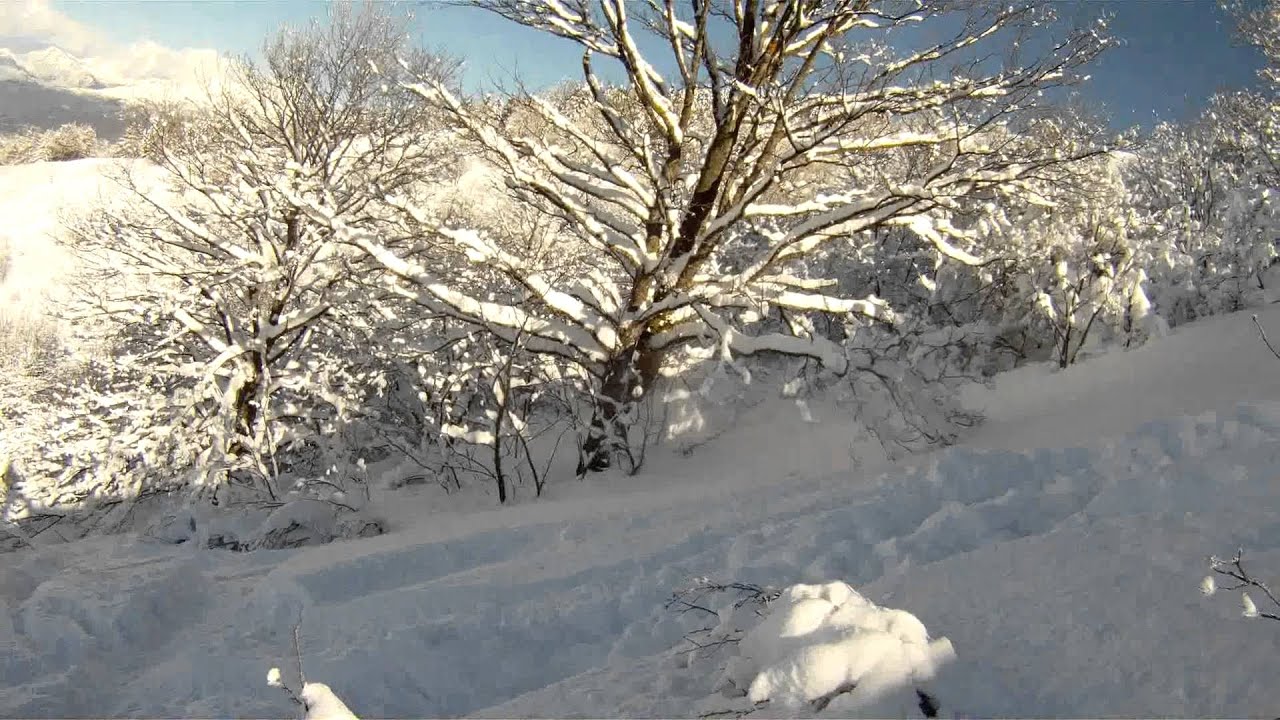MONTE SAN PRIMO MOVEMENT RESPONSE X