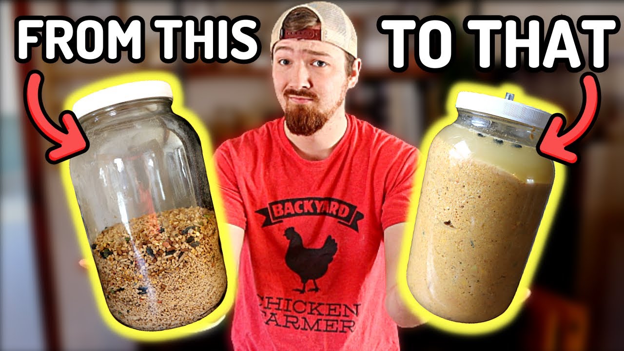 Start Doubling Your Chicken Feed Today!