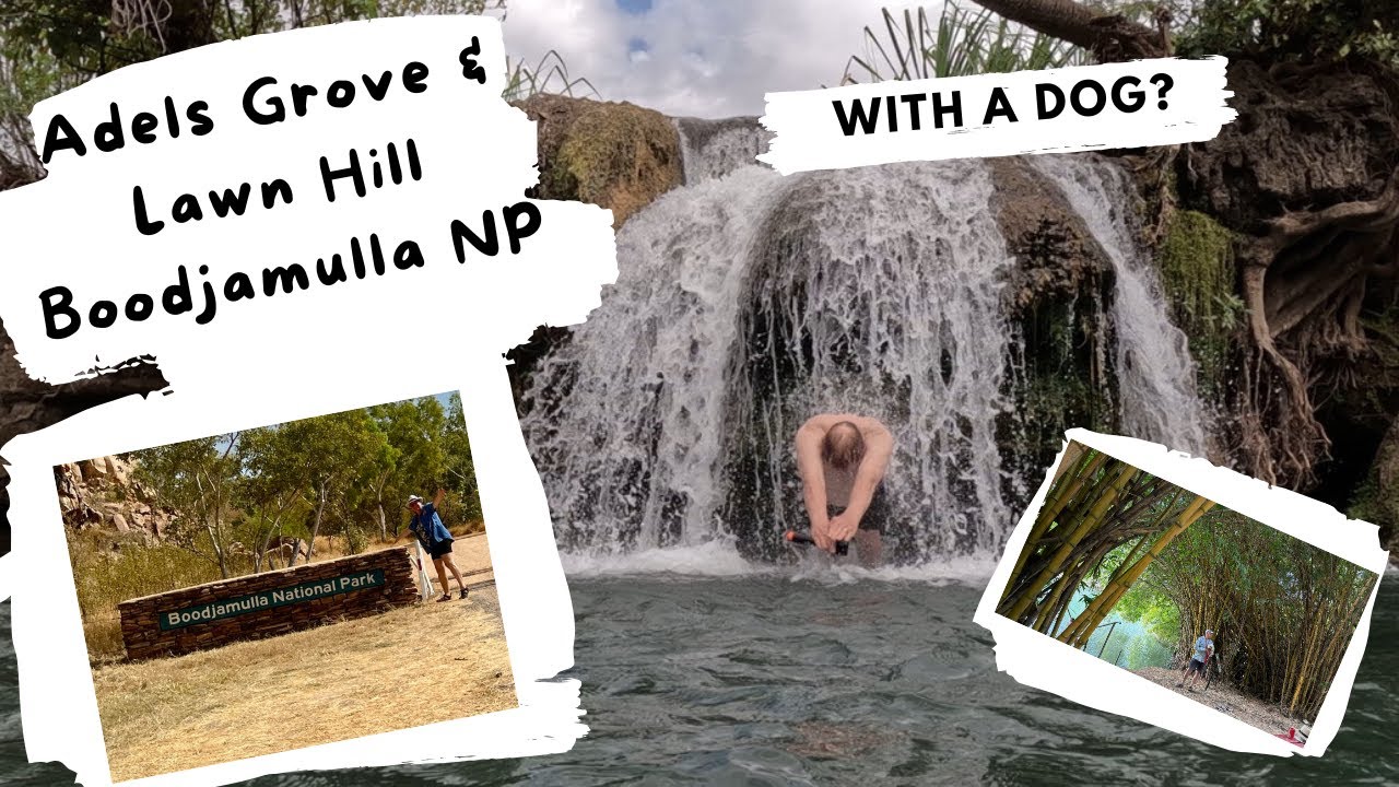 Adels Grove & Lawn Hill Boodjamula NP   HD 1080p