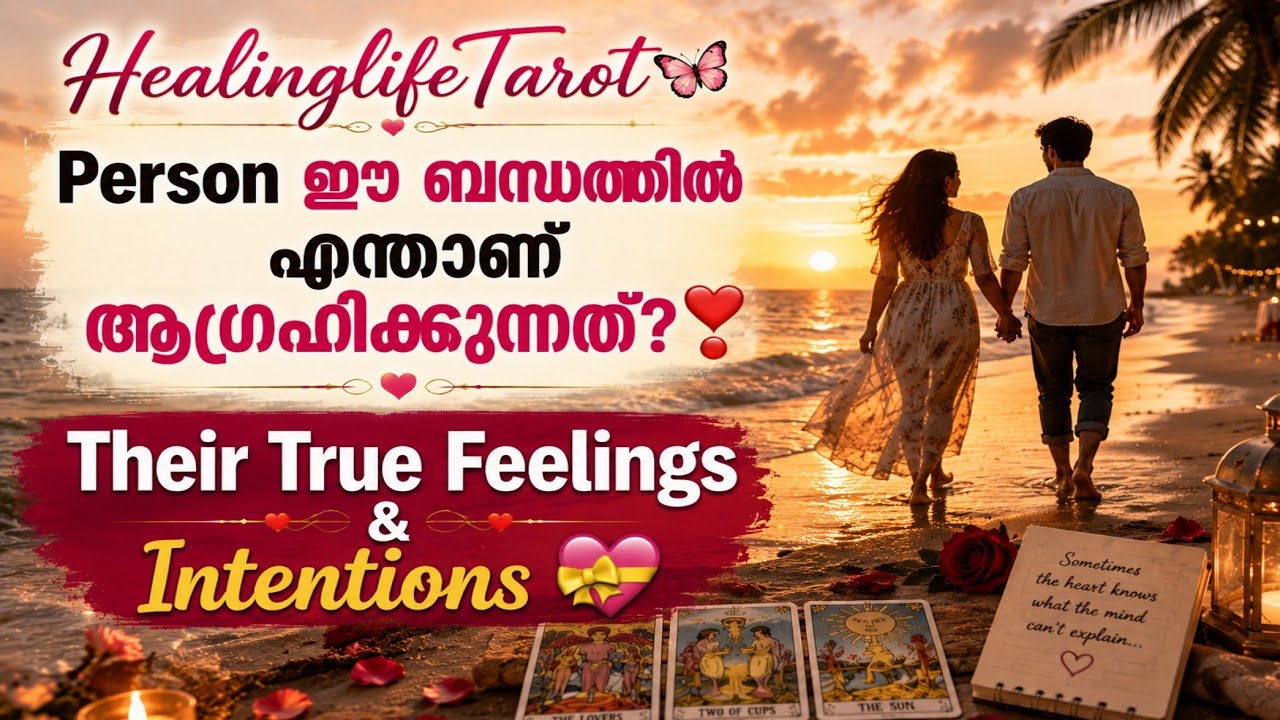 Person ന് ഈ ബന്ധത്തിൽ എന്താണ് ആഗ്രഹം?❣️ Their True Feelings & Intentions💝🧿 #currentfeelings #tarot 