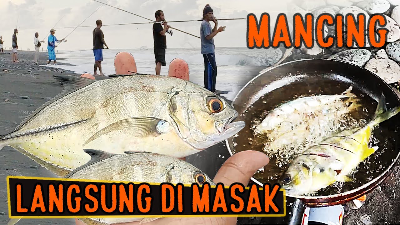 Fishing camp!! Mancing 2 hari di pinggir pantai sambil masak ikan || Mancing pinggiran & Casting