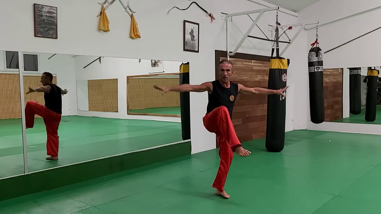 👉Cours KUNG FU BABY ARTS MARTIAUX - 2020 - Tutoriel - Aziz Terchague