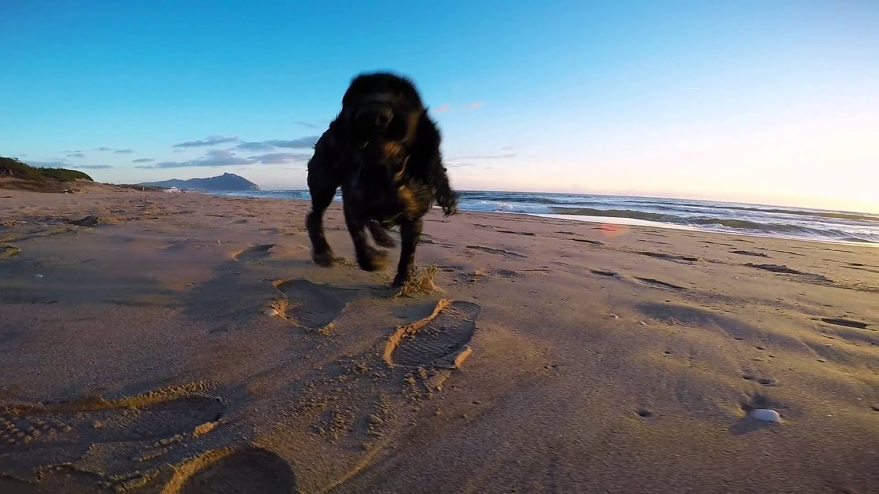 Sabaudia's Beach and Lake at Sunset - GoPro 4