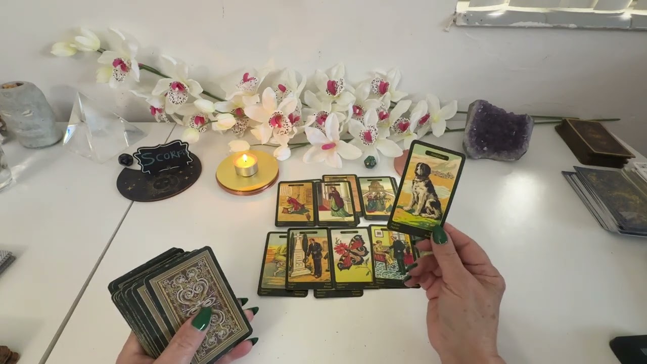 Escorpio 🧜🏻💫🦋te llega sin esperarlo, te dejará con la boca abierta. La suerte estará contigo.
